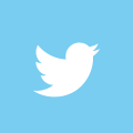 Twitter Follow Icon